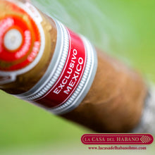 Cargar imagen en el visor de la galería, PUNCH DUKE "EDICION REGIONAL MEXICO 2018" CAJA CON 10 UNIDADES