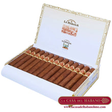 Cargar imagen en el visor de la galería, EL PRINCIPE CAJA CON 25 UNIDADES - Puros Cubanos Originales | La Casa del Habano HMO