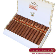 Cargar imagen en el visor de la galería, EL PRINCIPE CAJA CON 25 UNIDADES - Puros Cubanos Originales | La Casa del Habano HMO