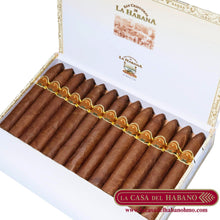 Cargar imagen en el visor de la galería, LA PUNTA CAJA CON 25 UNIDADES - Puros Cubanos Originales | La Casa del Habano HMO