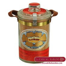 Cargar imagen en el visor de la galería, NOELLAS EDICION "LA CASA DEL HABANO" JARRA CON 25 UNIDADES - Puros Cubanos Originales | La Casa del Habano México