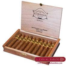 Cargar imagen en el visor de la galería, PRADO EDICION "LA CASA DEL HABANO" CAJA CON 10 UNIDADES - Puros Cubanos Originales | La Casa del Habano HMO