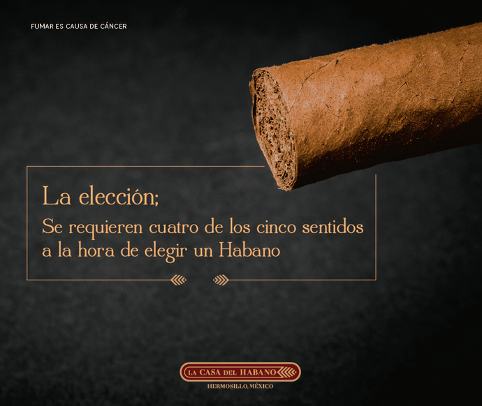 ¿COMO ELEGIR UN HABANO?