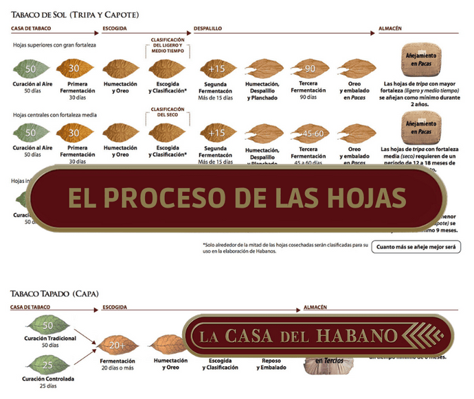 UN LARGO CAMINO POR RECORRER