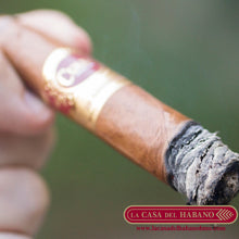 Cargar imagen en el visor de la galería, 20 ANIVERSARIO &quot;EDICION LA CASA DEL HABANO&quot; HUMIDOR CON 50 UNIDADES - Puros Cubanos Originales | La Casa del Habano México

