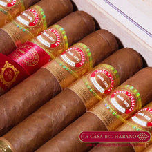 Cargar imagen en el visor de la galería, HIDALGOS "LINEA DE ORO" CAJA CON 20 UNIDADES - Puros Cubanos Originales | La Casa del Habano HMO

