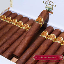 Cargar imagen en el visor de la galería, LA FUERZA CAJA CON 25 UNIDADES - Puros Cubanos Originales | La Casa del Habano HMO
