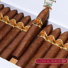 Cargar imagen en el visor de la galería, LA PUNTA CAJA CON 25 UNIDADES - Puros Cubanos Originales | La Casa del Habano HMO
