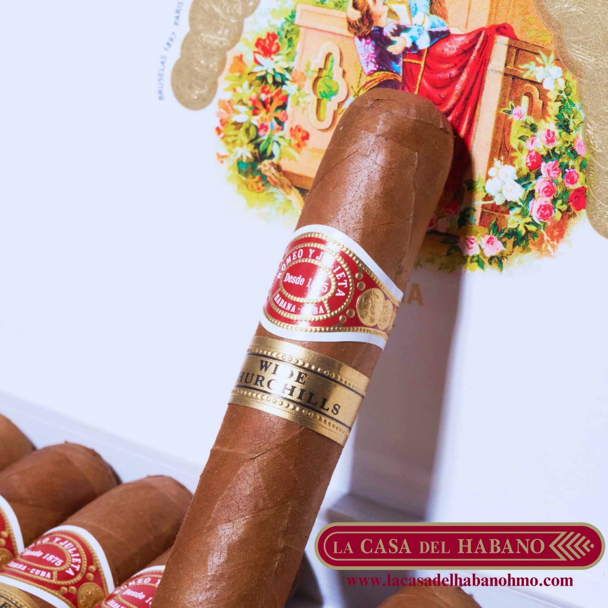 WIDE CHURCHILLS CAJA CON 25 UNIDADES – La Casa del Habano HMO