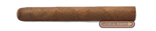 QUINTEROS TUBULARES TUBOS DE ALUMINIO CAJA CON 25 UNIDADES - Puros Cubanos Originales | La Casa del Habano México